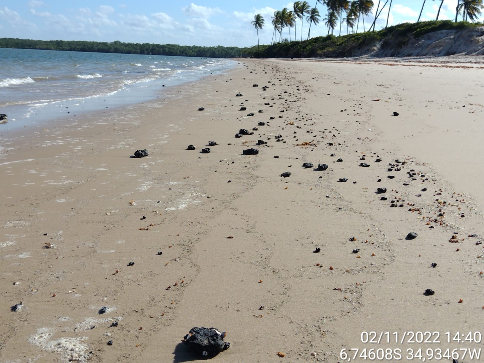 Fragmentos de óleo aparecem no litoral norte da Paraíba local de